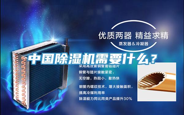 中國除濕機需要什么？