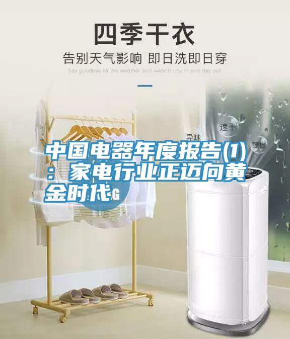 中國電器年度報告(1):家電行業(yè)正邁向黃金時代