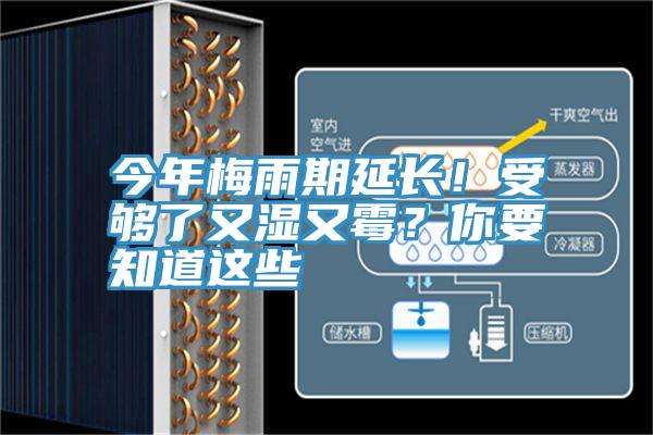 今年梅雨期延長(zhǎng)!受夠了又濕又霉?你要知道這些