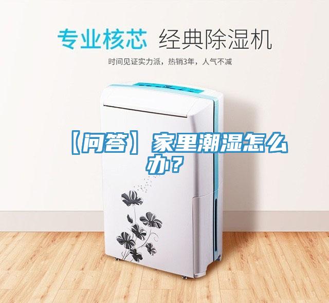 【問答】家里潮濕怎么辦？
