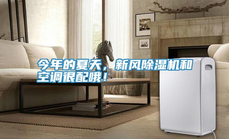 今年的夏天,新風除濕機和空調很配哦!