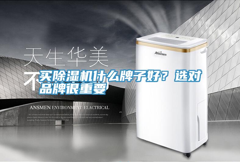 買除濕機什么牌子好?選對品牌很重要