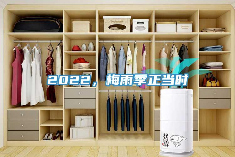 2022,梅雨季正當(dāng)時