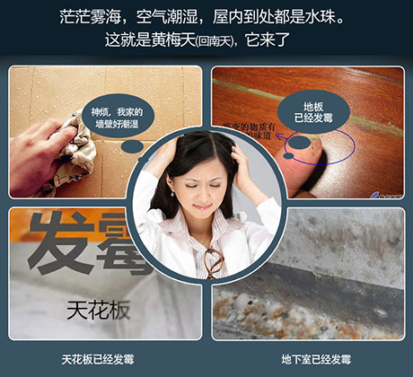 家庭別墅的地下室、衛(wèi)生間、儲(chǔ)物室等該如何除濕？