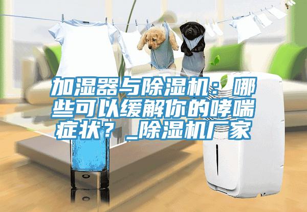 加濕器與除濕機(jī):哪些可以緩解你的哮喘癥狀?_除濕機(jī)廠家