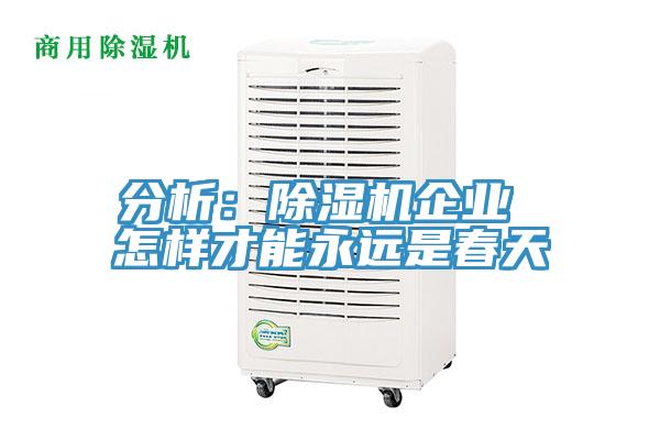 分析:除濕機(jī)企業(yè) 怎樣才能永遠(yuǎn)是春天