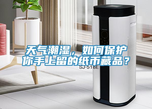 天氣潮濕，如何保護你手上留的紙幣藏品？