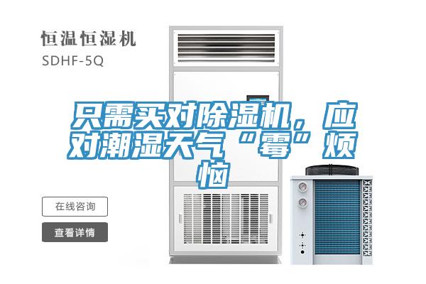 只需買對除濕機，應對潮濕天氣“霉”煩惱