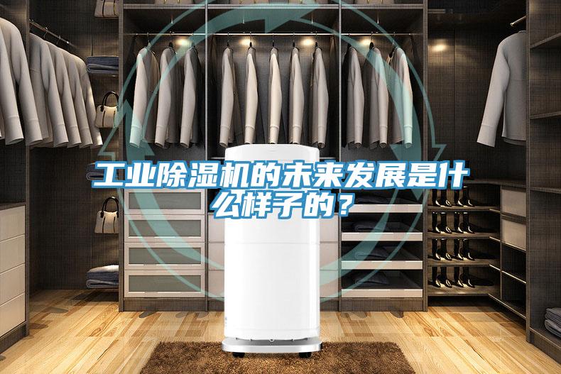 工業除濕機的未來發展是什么樣子的?