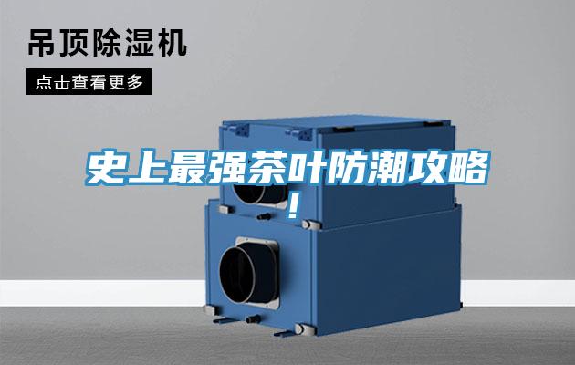 史上最強茶葉防潮攻略！