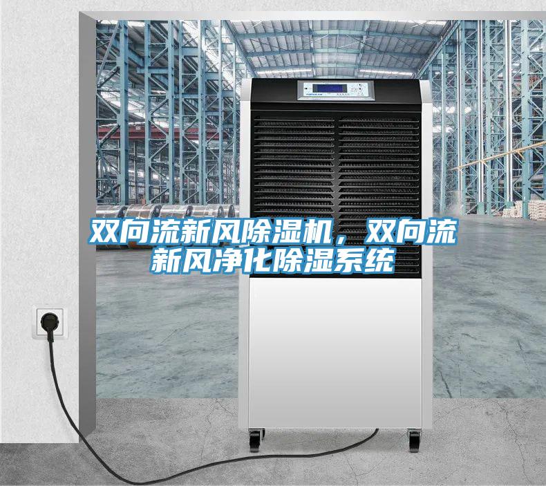 雙向流新風(fēng)除濕機(jī)，雙向流新風(fēng)凈化除濕系統(tǒng)