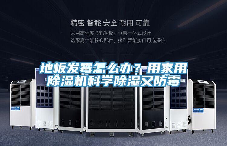 地板發霉怎么辦？用家用除濕機科學除濕又防霉