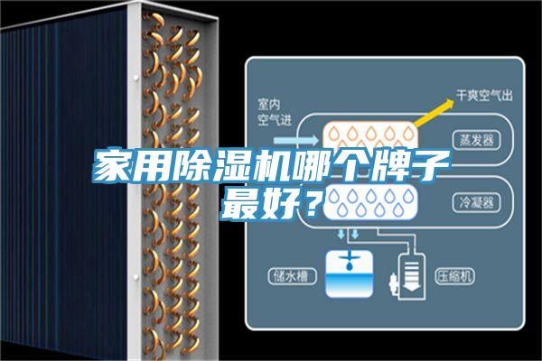 家用除濕機哪個牌子最好?