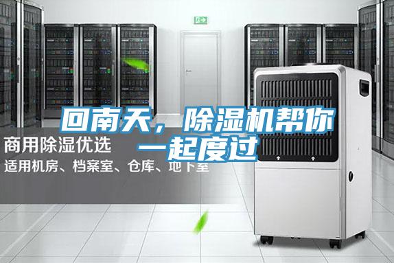 回南天，除濕機幫你一起度過