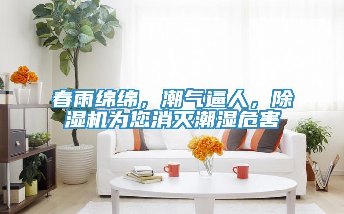 春雨綿綿,潮氣逼人,除濕機為您消滅潮濕危害