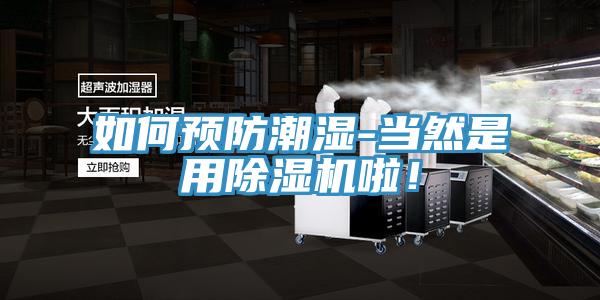 如何預防潮濕-當然是用除濕機啦！