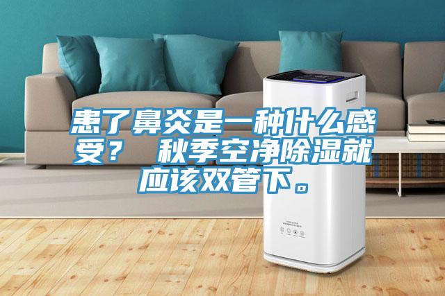 患了鼻炎是一種什么感受? 秋季空凈除濕就應該雙管下。