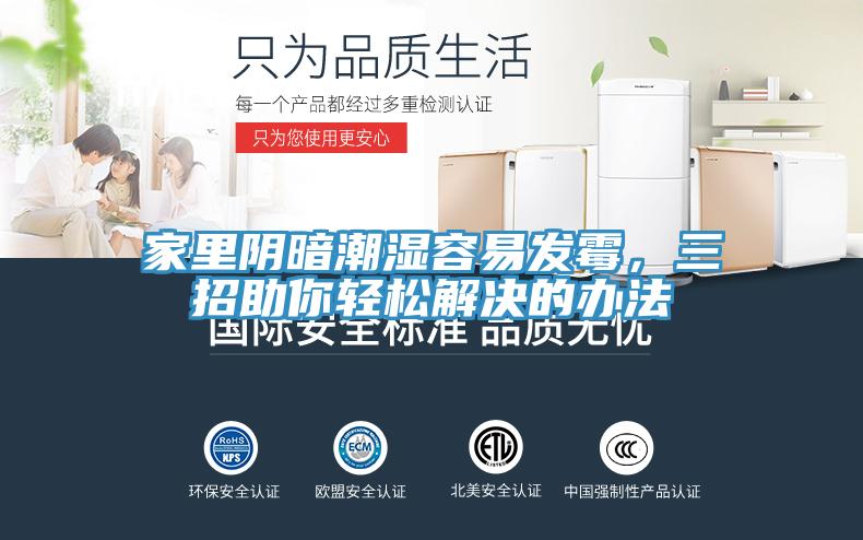 家里陰暗潮濕容易發(fā)霉,三招助你輕松解決的辦法