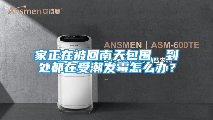 家正在被回南天包圍，到處都在受潮發(fā)霉怎么辦？