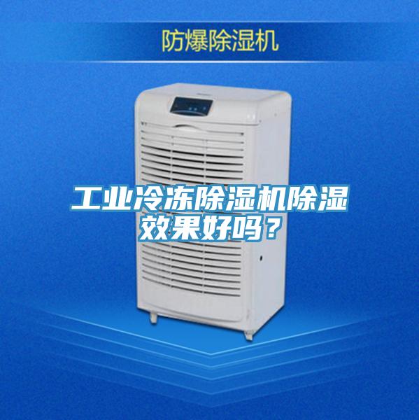 工業(yè)冷凍除濕機(jī)除濕效果好嗎?