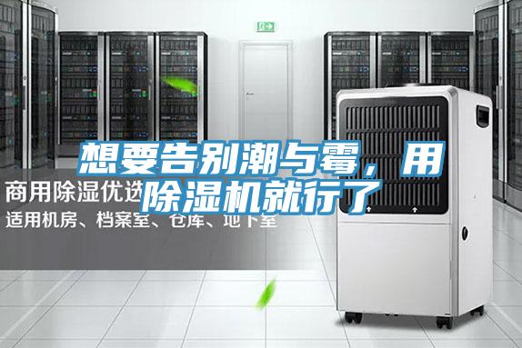 想要告別潮與霉，用除濕機就行了