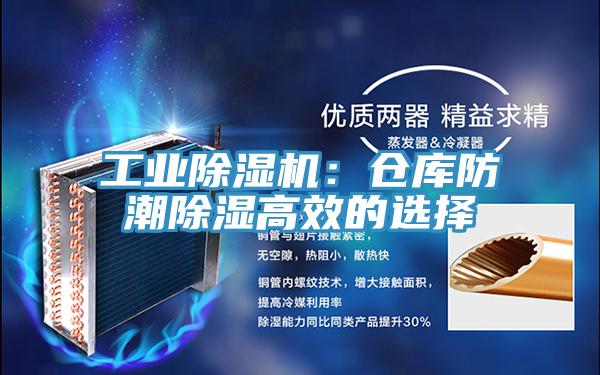 工業(yè)除濕機(jī):倉(cāng)庫(kù)防潮除濕高效的選擇