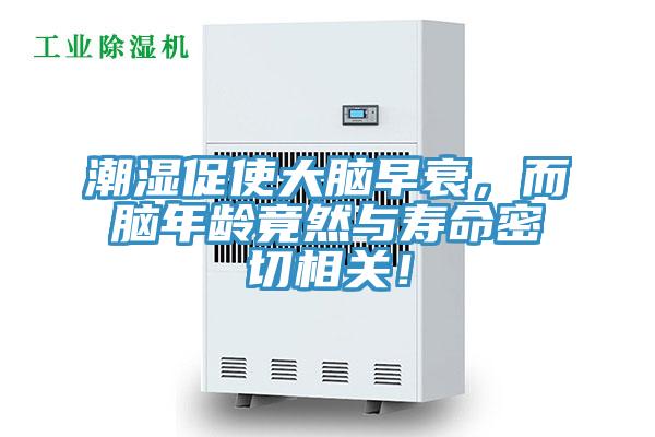 潮濕促使大腦早衰，而腦年齡竟然與壽命密切相關！