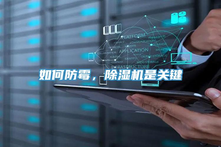 如何防霉,除濕機是關鍵