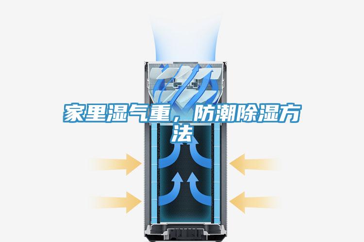 家里濕氣重，防潮除濕方法
