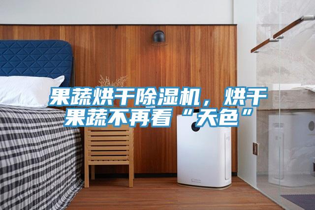 果蔬烘干除濕機(jī),烘干果蔬不再看“天色”