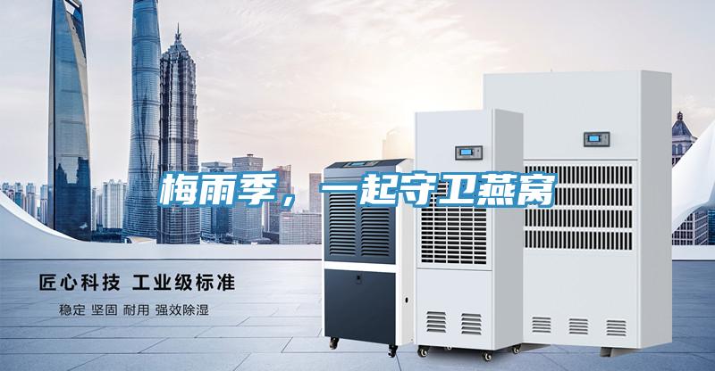 梅雨季，一起守衛燕窩