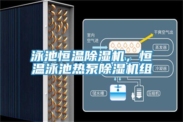 泳池恒溫除濕機，恒溫泳池熱泵除濕機組