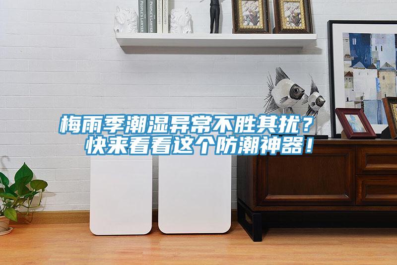 梅雨季潮濕異常不勝其擾？ 快來看看這個(gè)防潮神器！