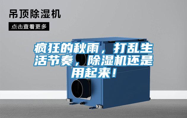 瘋狂的秋雨,打亂生活節奏,除濕機還是用起來!