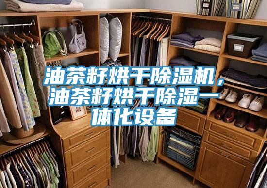 油茶籽烘干除濕機，油茶籽烘干除濕一體化設(shè)備