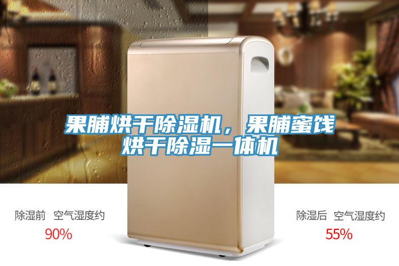 果脯烘干除濕機,果脯蜜餞烘干除濕一體機