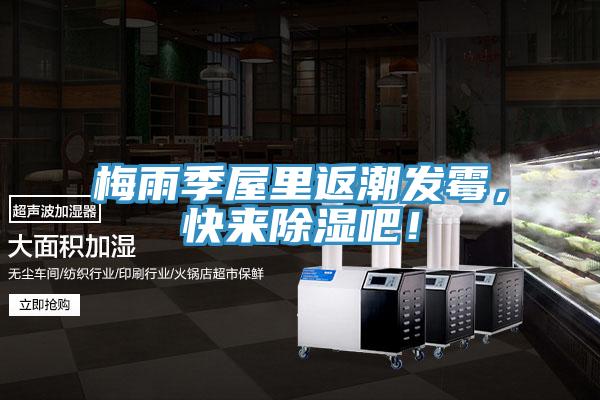 梅雨季屋里返潮發霉,快來除濕吧!