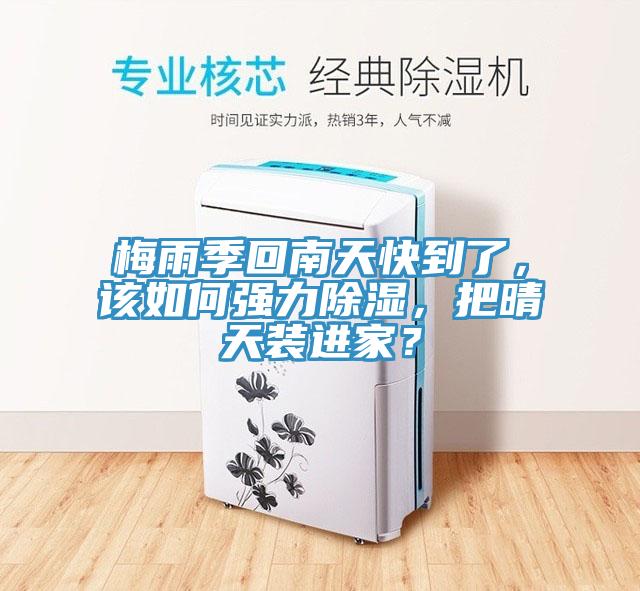 梅雨季回南天快到了，該如何強(qiáng)力除濕，把晴天裝進(jìn)家？