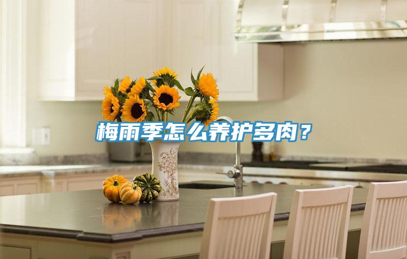 梅雨季怎么養(yǎng)護(hù)多肉？