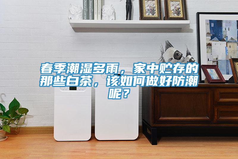 春季潮濕多雨，家中貯存的那些白茶，該如何做好防潮呢？