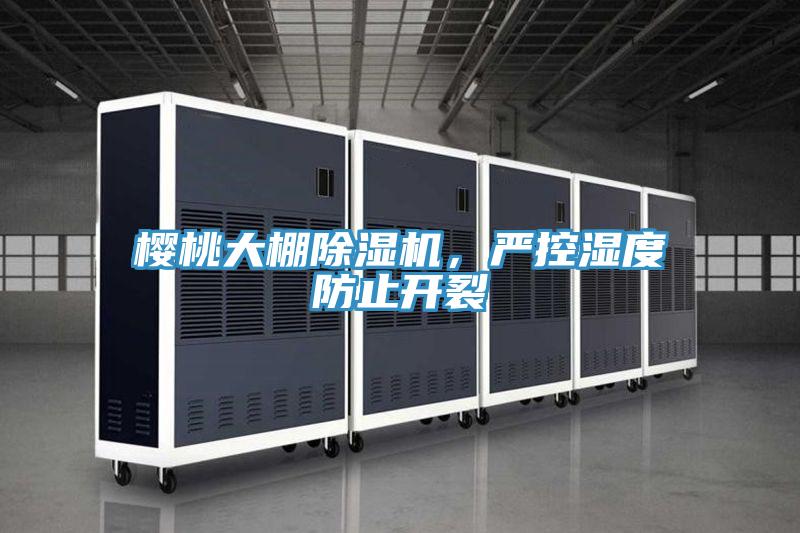 櫻桃大棚除濕機(jī),嚴(yán)控濕度防止開(kāi)裂