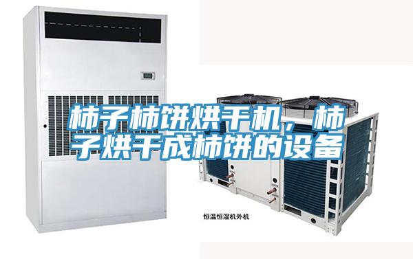 柿子柿餅烘干機(jī),柿子烘干成柿餅的設(shè)備