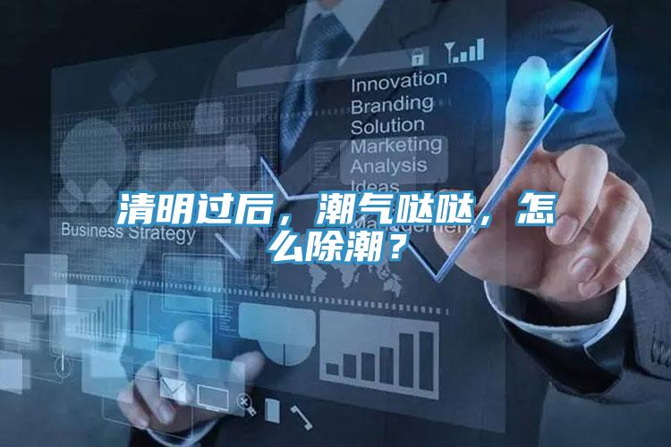 清明過后，潮氣噠噠，怎么除潮？