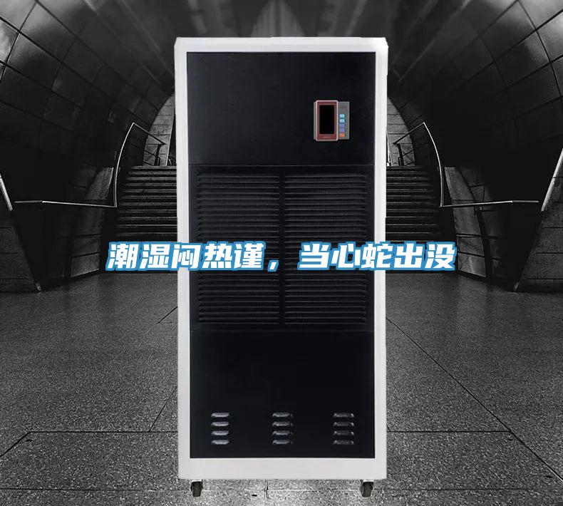 潮濕悶熱謹(jǐn),當(dāng)心蛇出沒