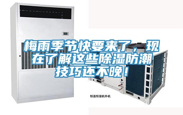 梅雨季節快要來了，現在了解這些除濕防潮技巧還不晚！
