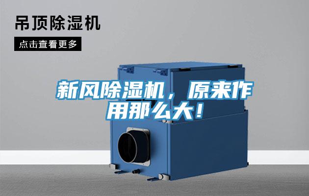 新風(fēng)除濕機,原來作用那么大!