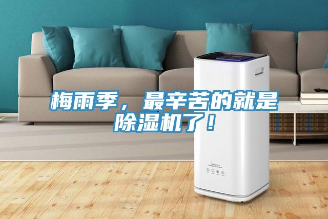 梅雨季，最辛苦的就是除濕機了！