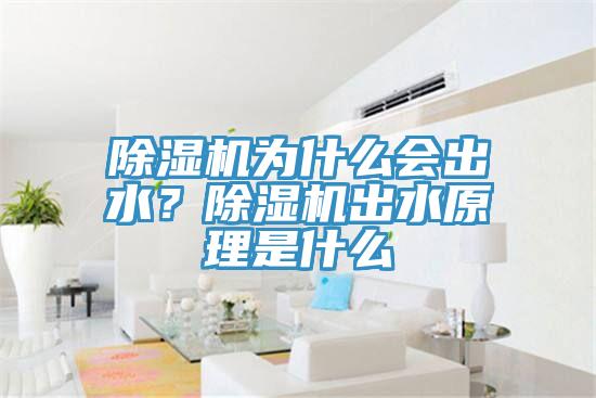 除濕機(jī)為什么會(huì)出水？除濕機(jī)出水原理是什么