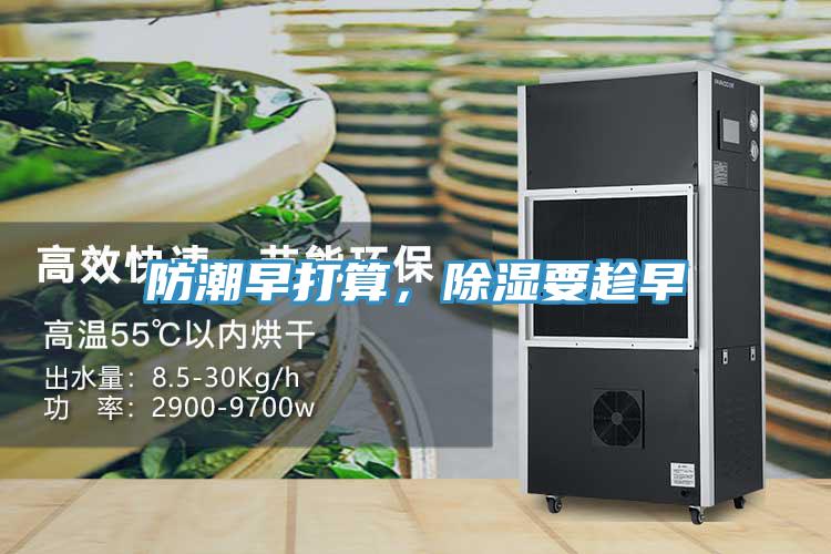 防潮早打算，除濕要趁早