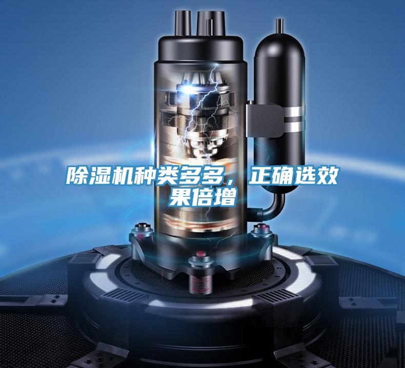 除濕機種類多多，正確選效果倍增